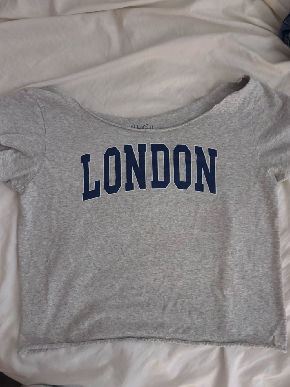 Brandy Melville Gray Crop Tee with Navy "LONDON" Print